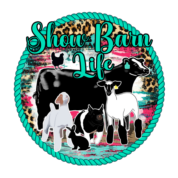 Show Barn Life