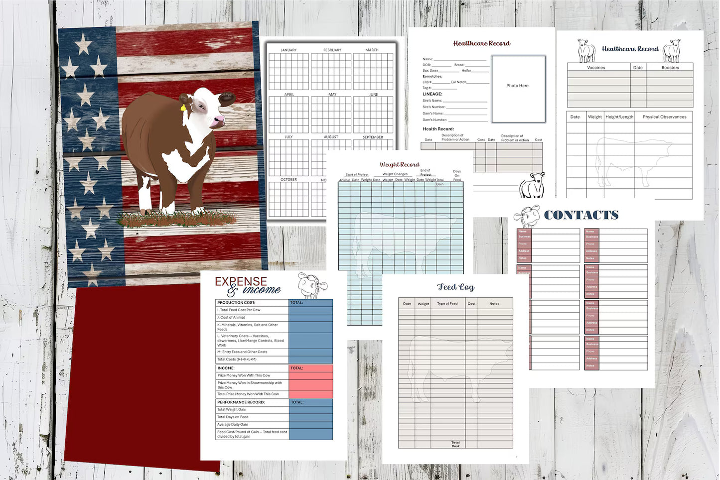 Livestock Show Cattle Record Planners Printable PDF | 8.5x11 Show Animal Health, Feeding & Grooming Tracker | Instant Download